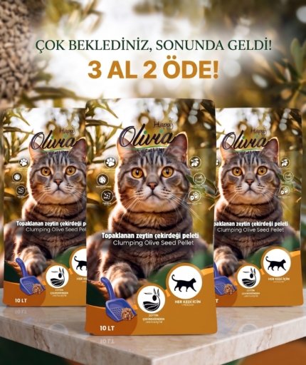 3 AL 2 ÖDE (ZEYTİN)